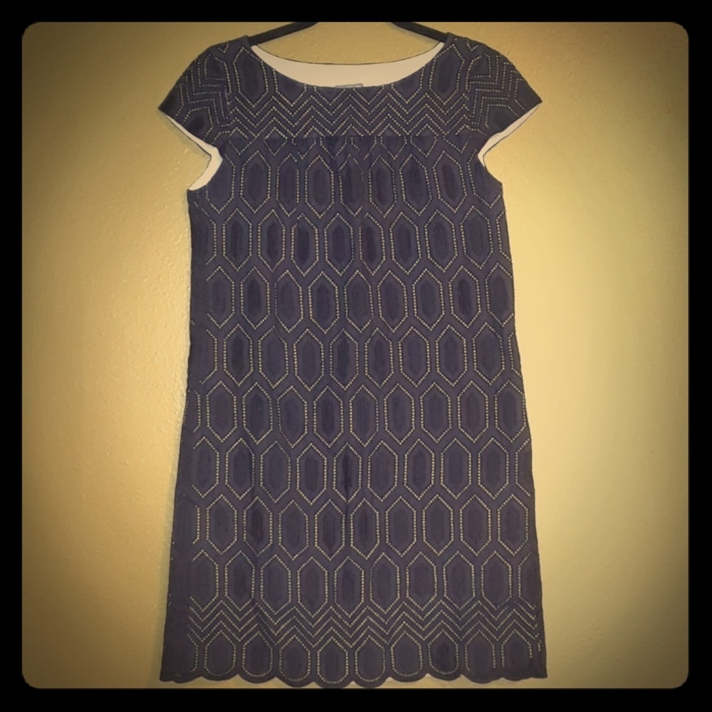 Ann Taylor Petites A-line Embroidered Dress 4P